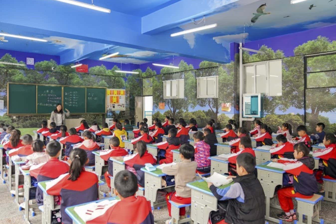 A classroom decorated to resemble a woodland as part of a myopia trial in a school in Lijiang in Yunnan province, China