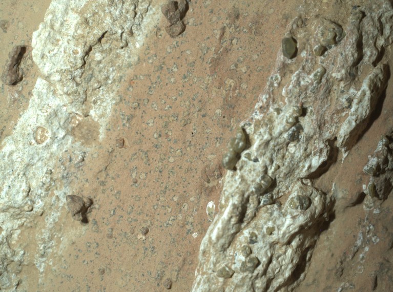 A close-up image of a piece of rock on Mars, in which the pattern resembles leopard spots