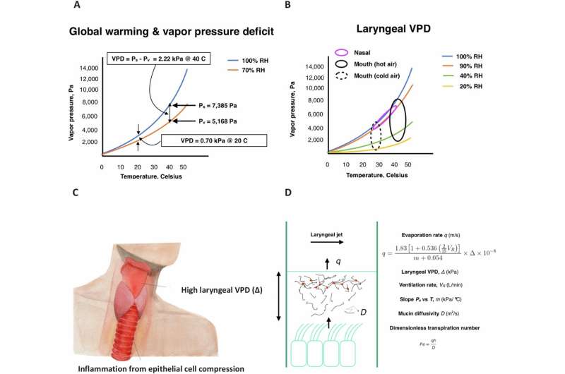 Global warming can lead to inflammation in human airways, new research shows