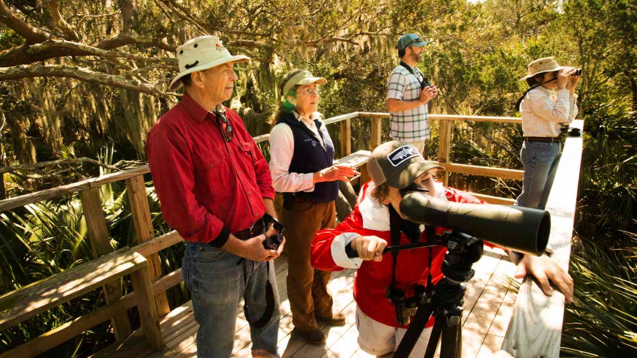 TAL-birdwatching-excursion-little-st-simons-LSSIGVA2025-df083f9939e34d7687889f455c6e5dbe.jpg