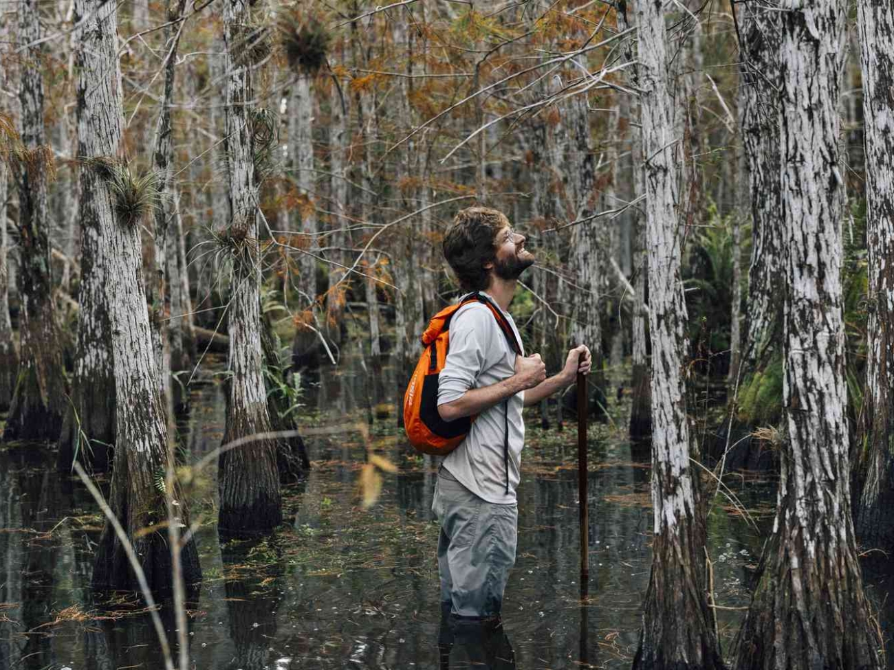 TAL-cypress-wet-walk-guide-EVERGLADES0425-75d646a6b5084f3bba3afb9757334564.jpg