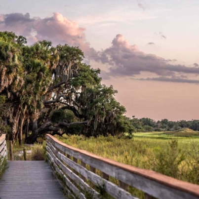 TAL-myakka-river-state-park-florida-MYAKKARIVSP0225-3ecd0cef6dc544cca7f4a4597299dce3.jpg