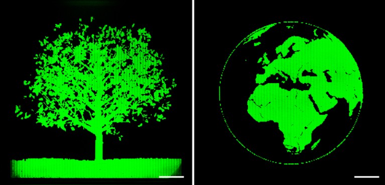 A diptych of a tree covered in leaves and a globe showing Europe Africa and Asia depicted in green LEDs with scale bars showing each image is about 4cm wide