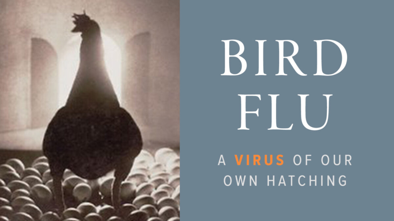 bird-flu-blast-header-1200x682.jpg