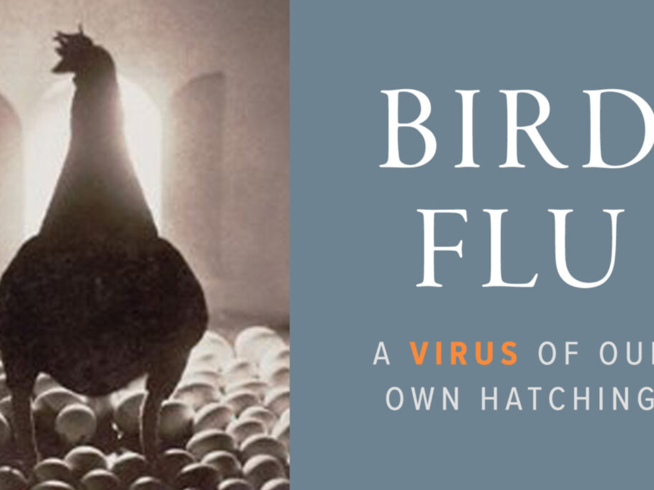 bird-flu-blast-header-1200x682.jpg