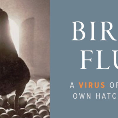 bird-flu-blast-header-1200x682.jpg