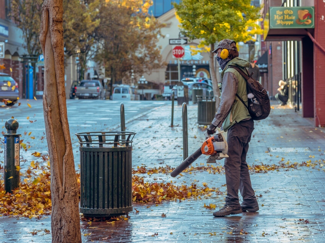 leaf-blower.jpg