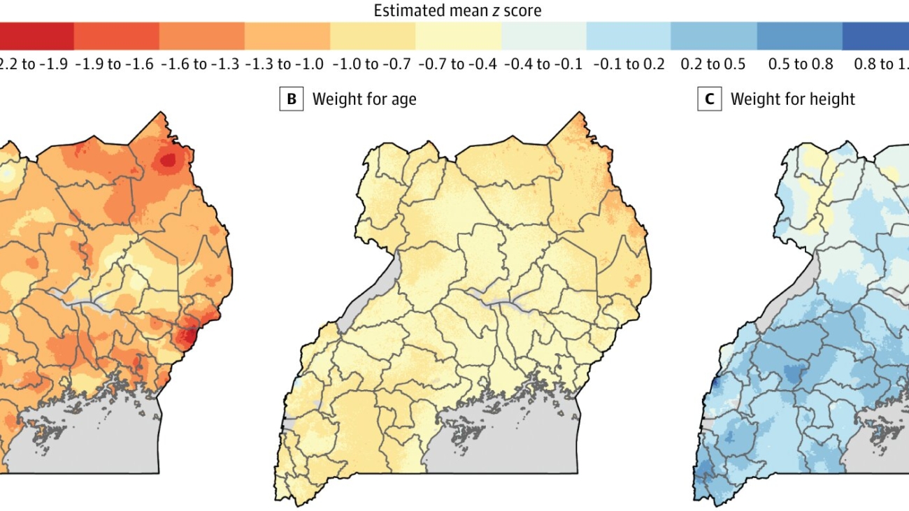 rainfall-and-drought-l.jpg