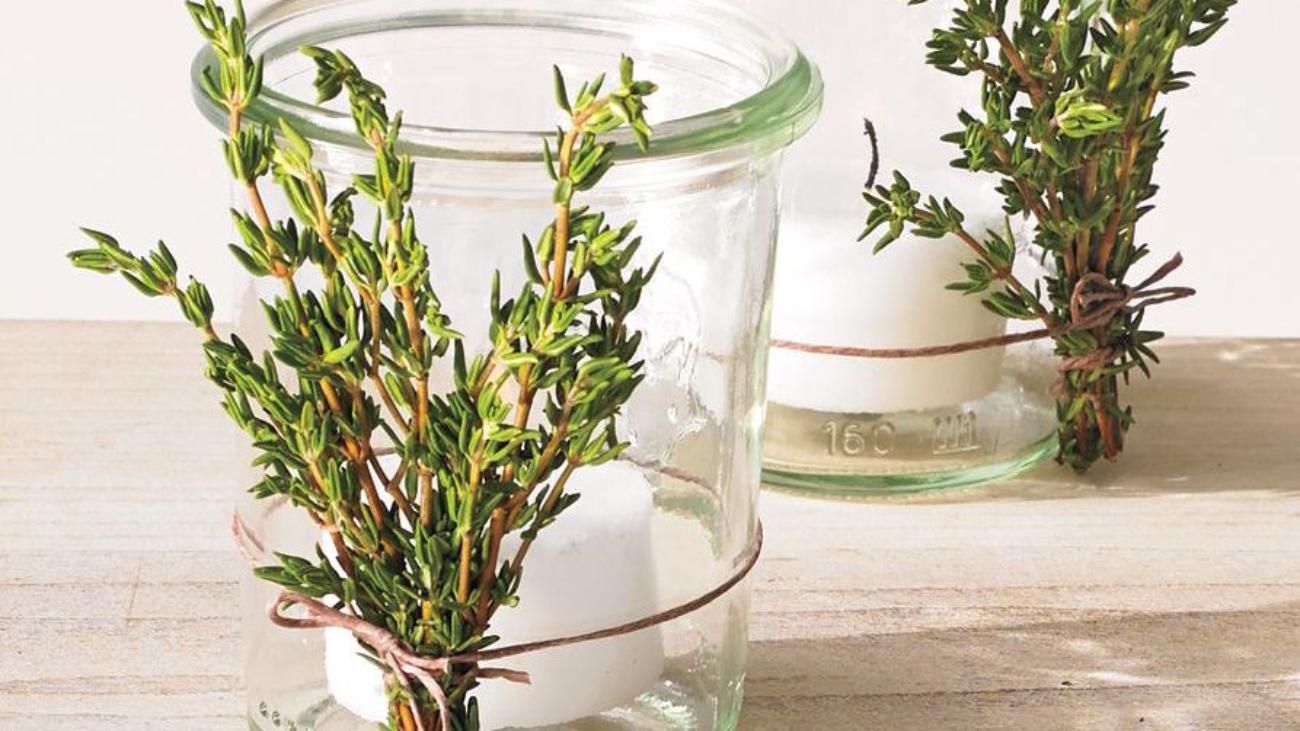 rosemary-jars-173-d111981_vert-3be01d3349af4ac595159af50a8d9ded-9721908a66a9462aa4a99184ad712b90.jpg