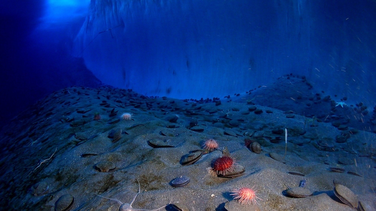 seafloor.jpg